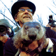 Illustration for article titled Punxsutawney Phil Determines That Pagan Animal Worship Is Alive and Well